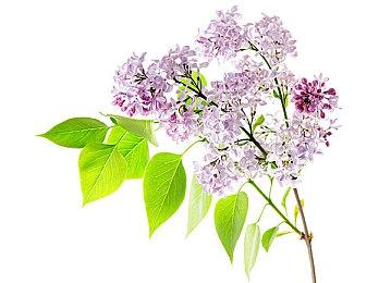 外媒评选Xbox One三十款佳作 《大镖客2》在列